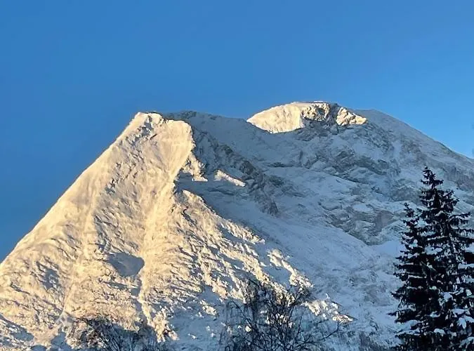 Apartment W4 Haus Ganghofer