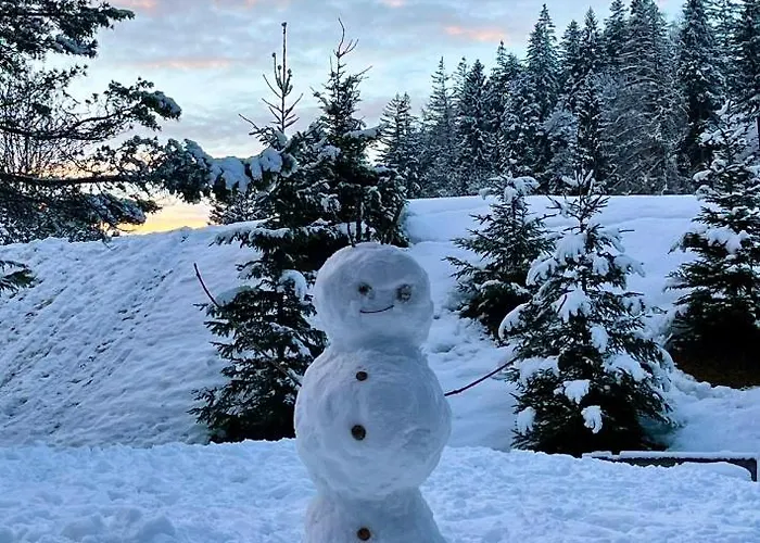 W4 Haus Ganghofer Apartmán Leutasch